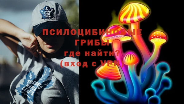 jwh Осинники